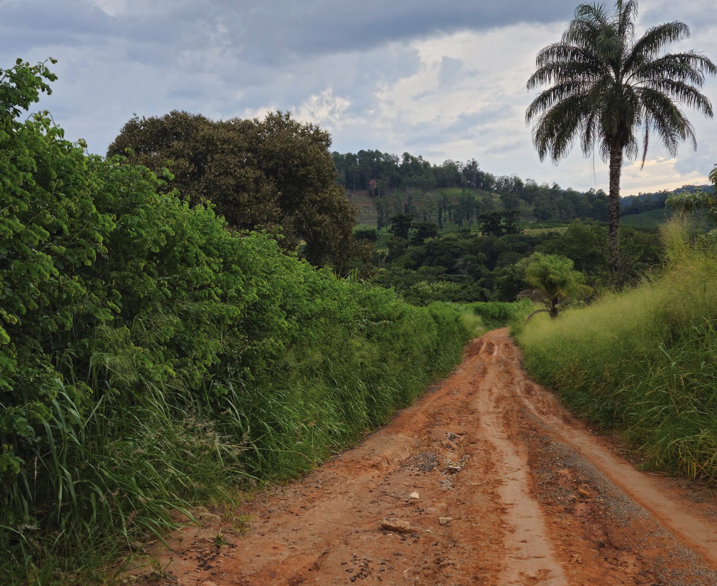 Estrada rural precisa de manutenção urgente | O Município