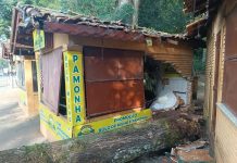 Árvore cai e atinge quiosque no Bosque Estadual da Prata
