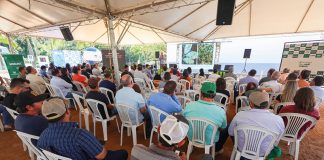 Produtores participam do 1º Encontro do Café em São João
