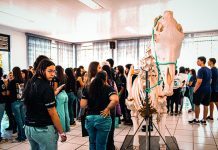 Feira de profissões da Unifeob reúne 4.000 estudantes da região