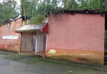 Fundação Florestal inicia obras no Bosque da Prata